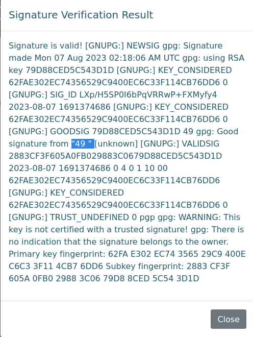 SSTI test payload