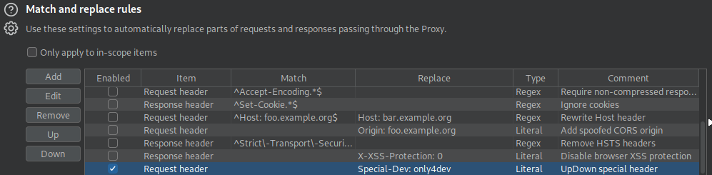 burp header replace rules