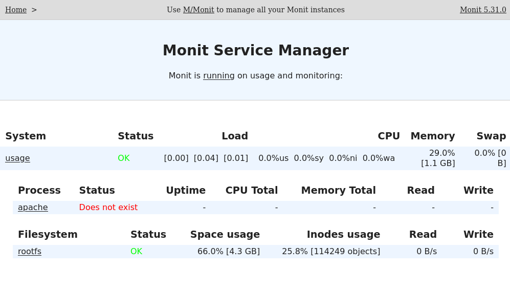 monit dashboard